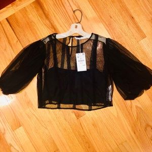 Zara crop top